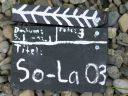 Sommerlager 2003
